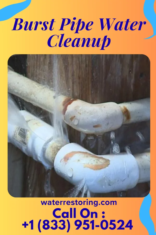 Burst Pipe Water Cleanup in Donovan, IL