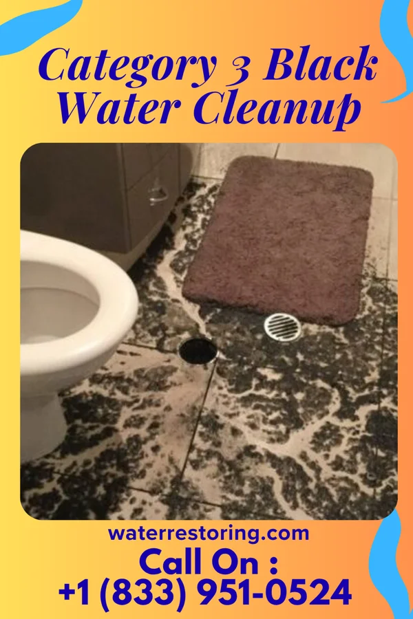 Category 3 Black Water Cleanup in Donovan, IL