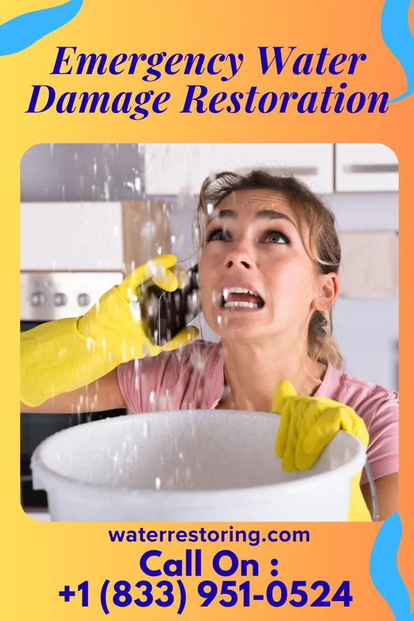 Emergency Water Damage Restoration in Donovan, IL
