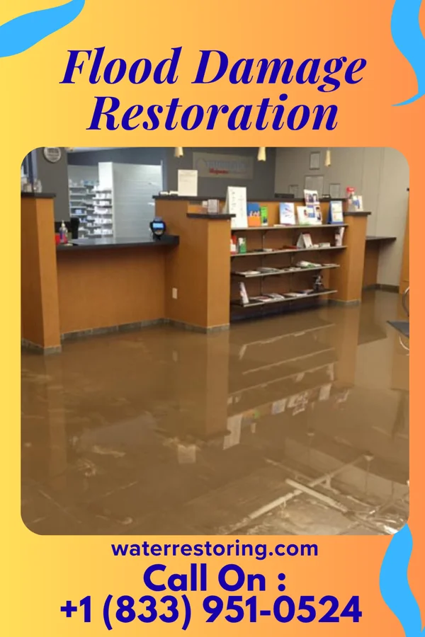 Flood Damage Restoration in Donovan, IL