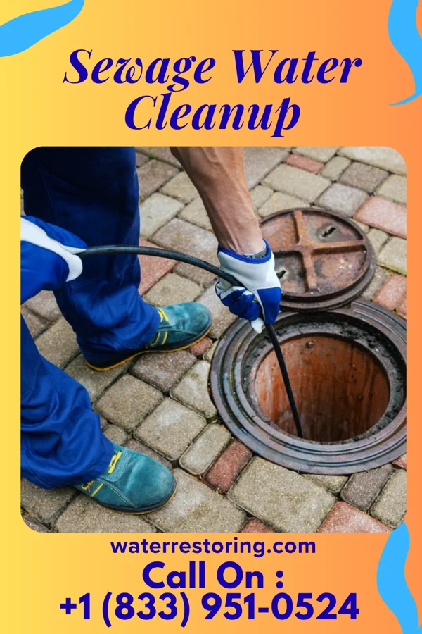 Sewage Water Cleanup in Donovan, IL